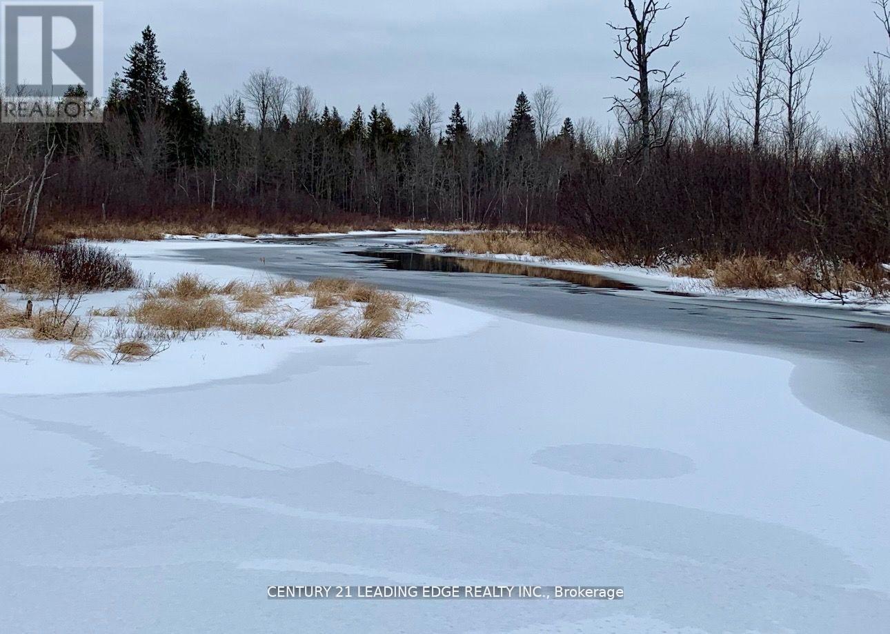 281 Crawford Road, Bancroft (Dungannon Ward), Ontario  K0L 2L0 - Photo 41 - X12393645