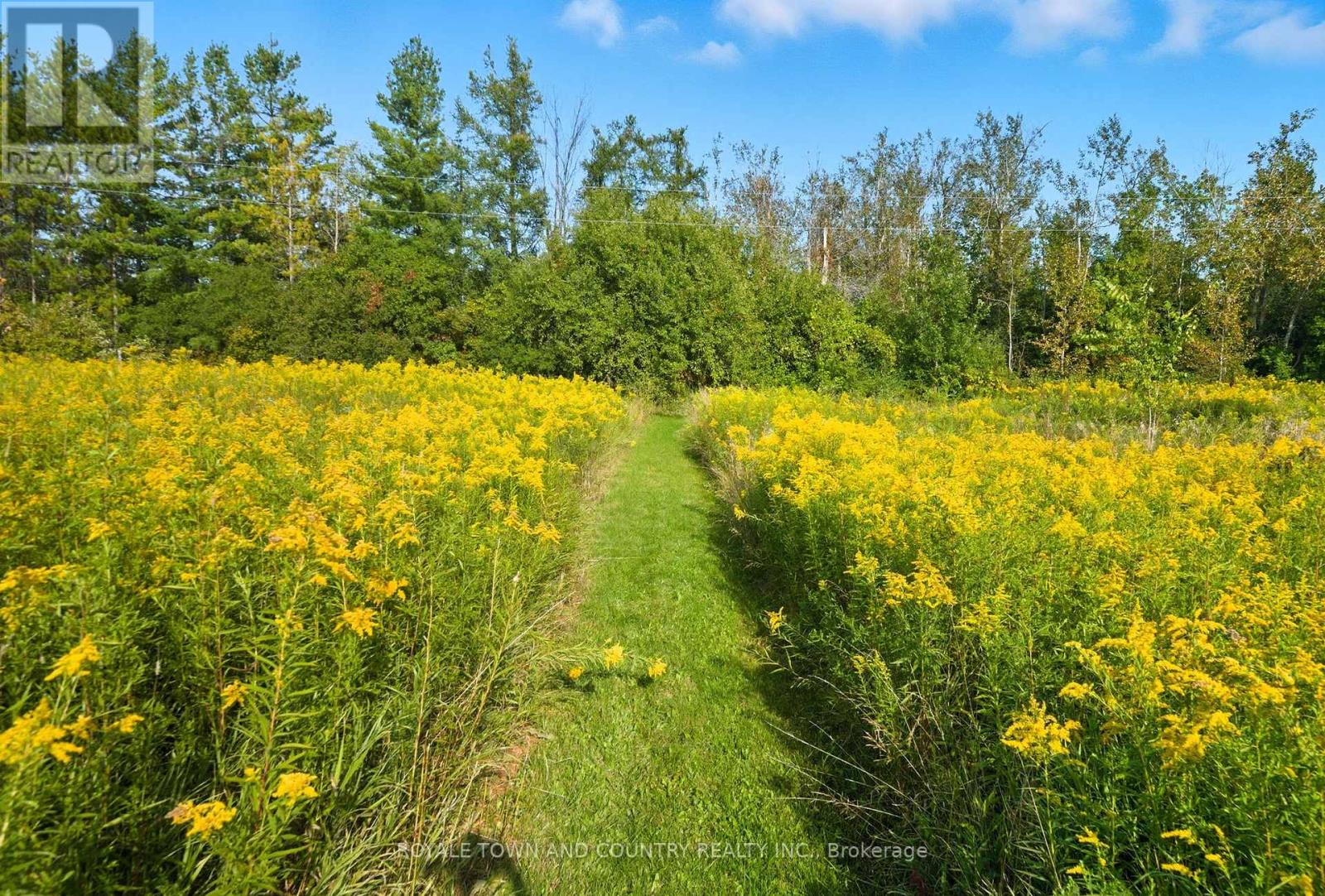 3737 Highway 7 Highway, Kawartha Lakes (Omemee), Ontario  K0L 2W0 - Photo 7 - X12397799