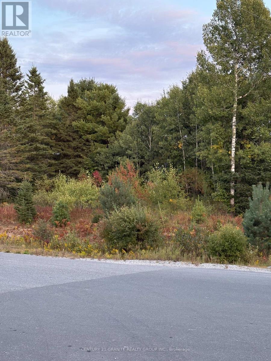 Lt 13 Nicklaus Drive, Bancroft (Bancroft Ward), Ontario  K0L 1C0 - Photo 6 - X12400326