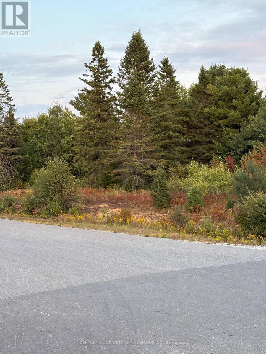 Lt 13 Nicklaus Drive, Bancroft (Bancroft Ward), Ontario  K0L 1C0 - Photo 7 - X12400326