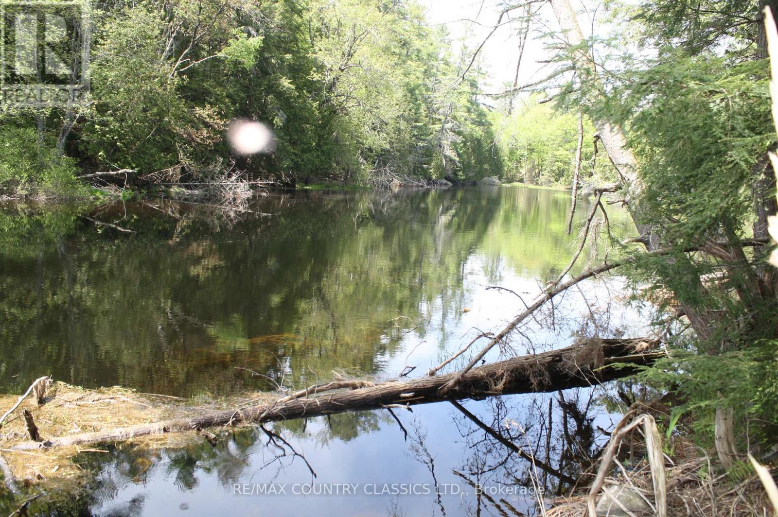 0 & 00 Betty Lane, Wollaston, Ontario  K0L 1P0 - Photo 11 - X12401040