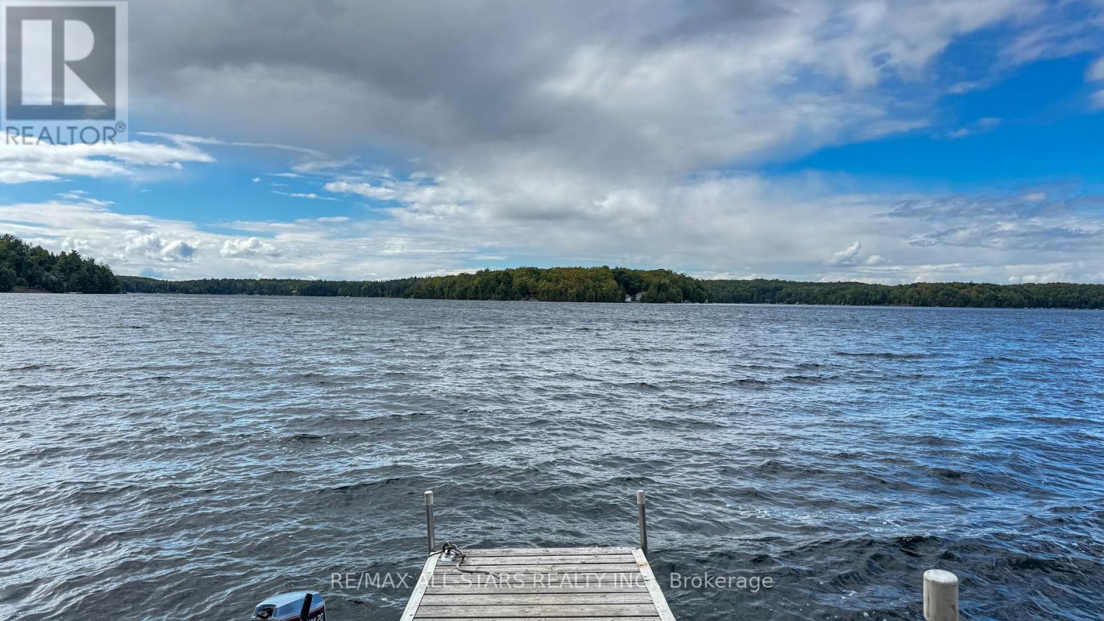 170 Couchs Road, North Kawartha, Ontario  K0L 1A0 - Photo 5 - X12401321