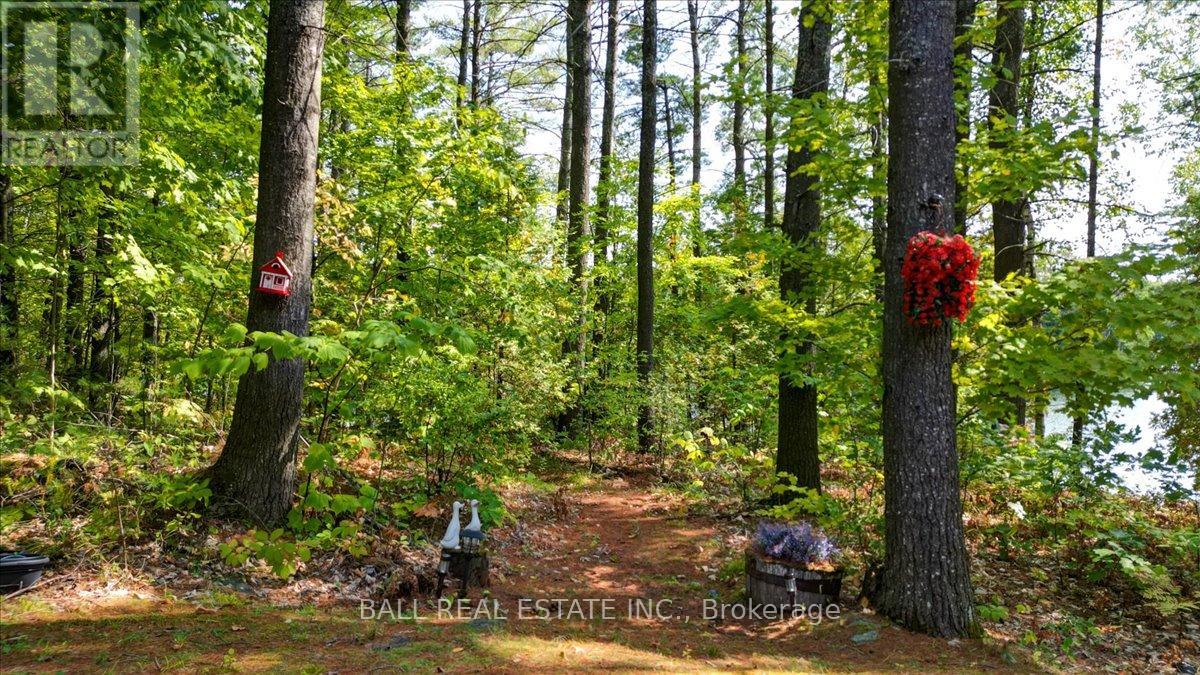 114 Peninsula Road, Marmora And Lake (Lake Ward), Ontario  K0L 1W0 - Photo 35 - X12401862