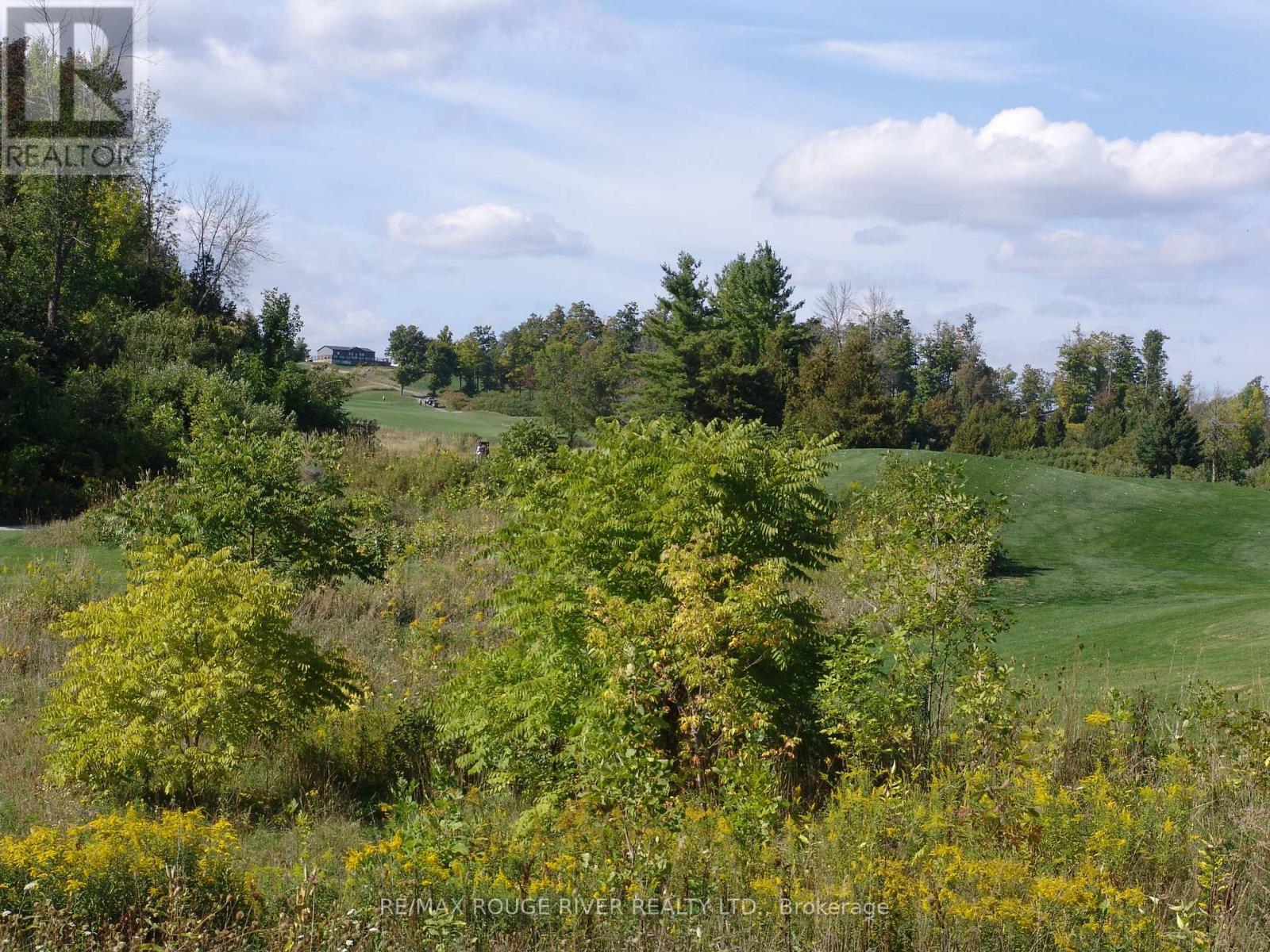 1235 Villiers Line, Otonabee-South Monaghan, Ontario  K0L 1Y0 - Photo 16 - X12403533