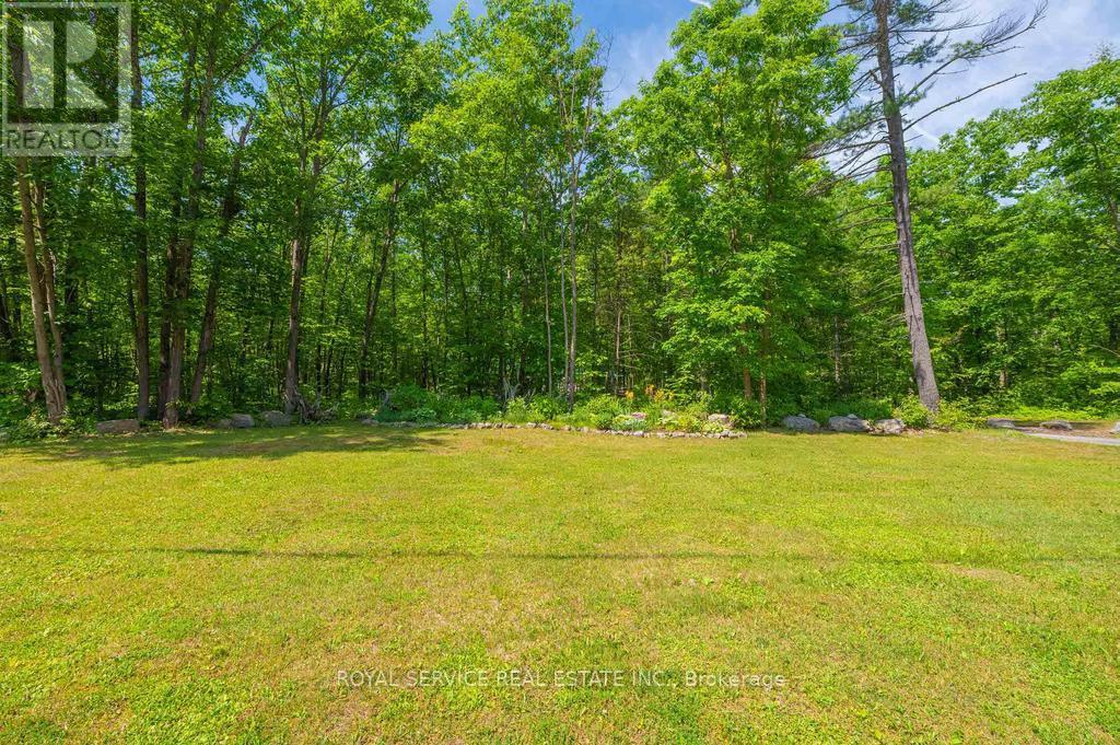464 Belmont 7th Line, Havelock-Belmont-Methuen (Belmont-Methuen), Ontario  K0L 1Z0 - Photo 42 - X12403834