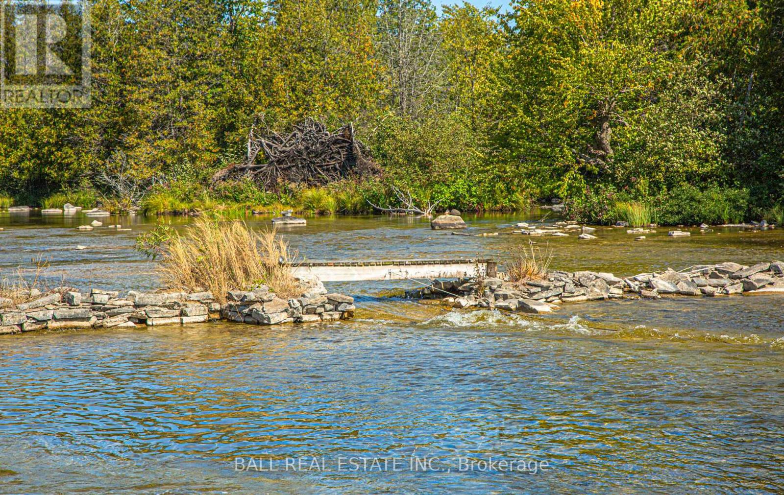 497 Sawmill Road, Douro-Dummer, Ontario  K0L 2H0 - Photo 29 - X12403969