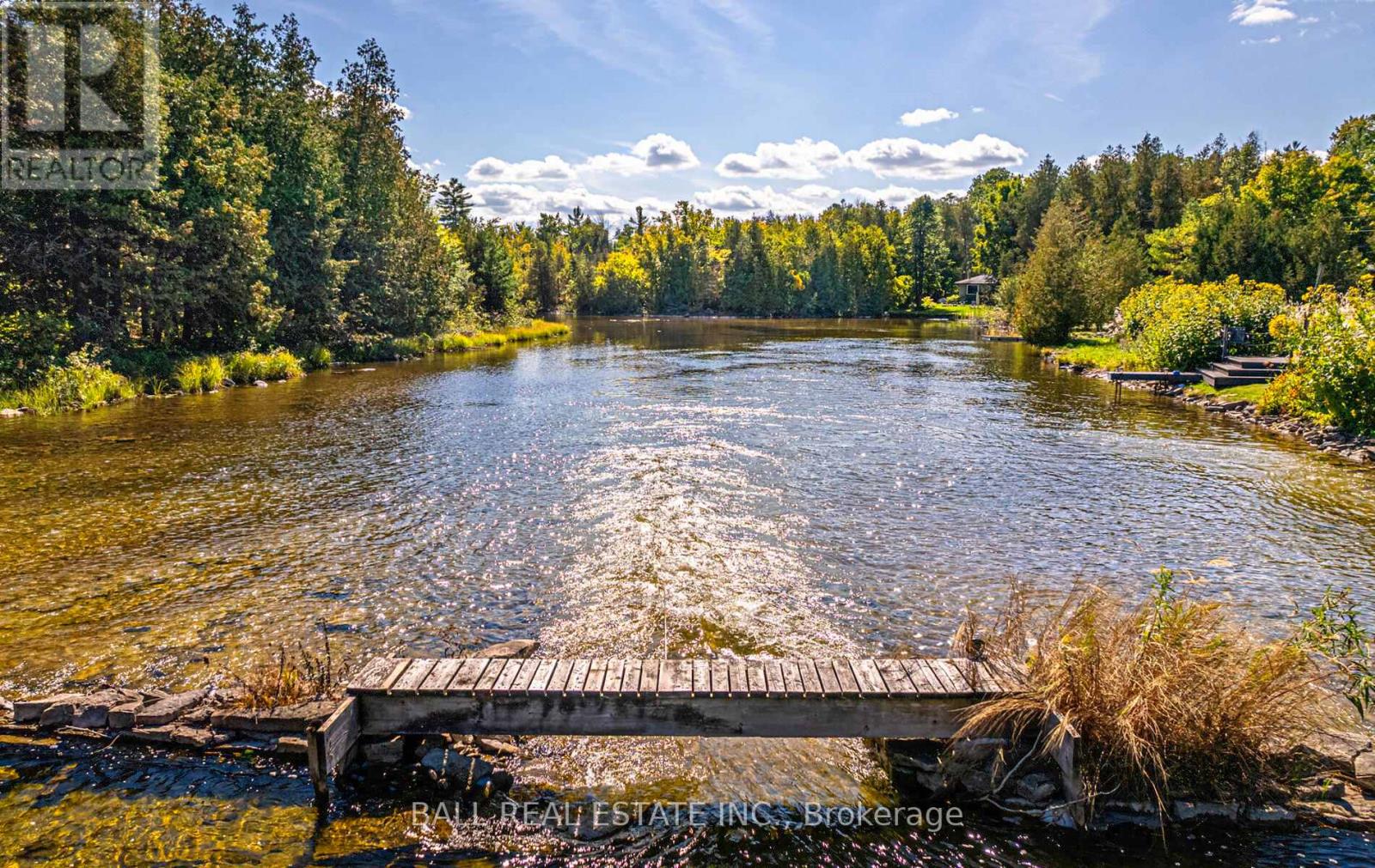 497 Sawmill Road, Douro-Dummer, Ontario  K0L 2H0 - Photo 34 - X12403969