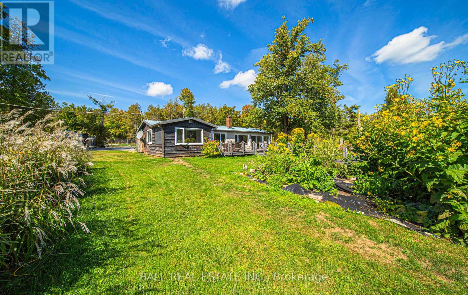 497 Sawmill Road, Douro-Dummer, Ontario  K0L 2H0 - Photo 41 - X12403969