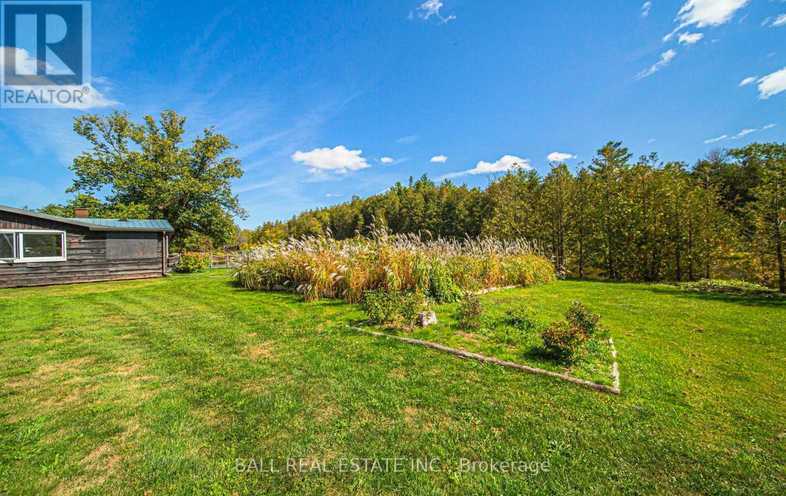 497 Sawmill Road, Douro-Dummer, Ontario  K0L 2H0 - Photo 46 - X12403969