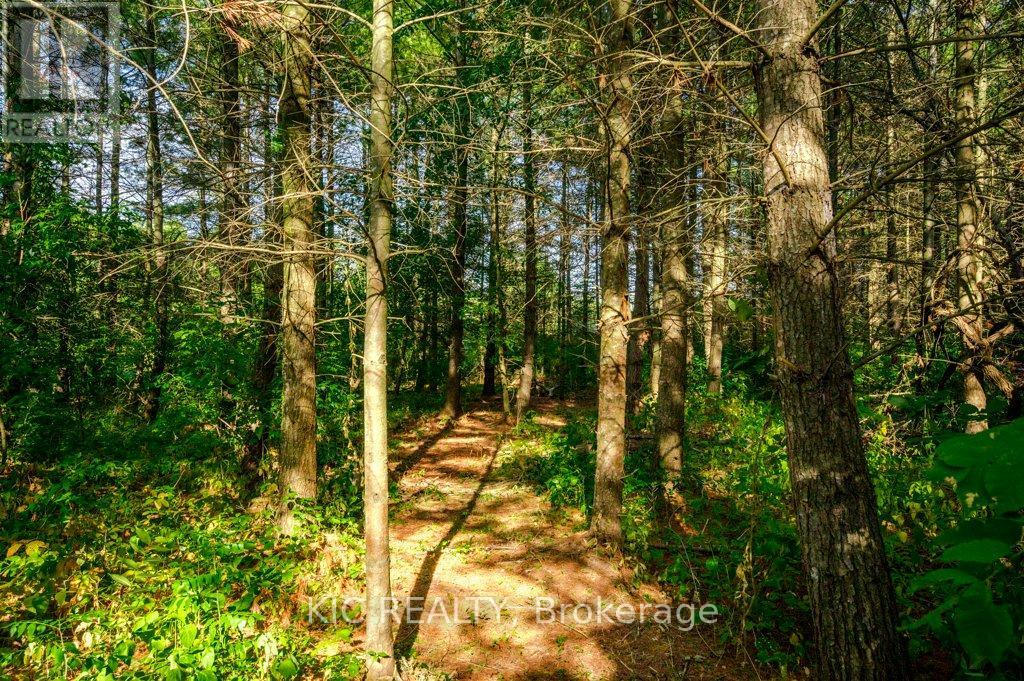 804 8th Line West Line, Trent Hills, Ontario  K0L 1L0 - Photo 41 - X12404030