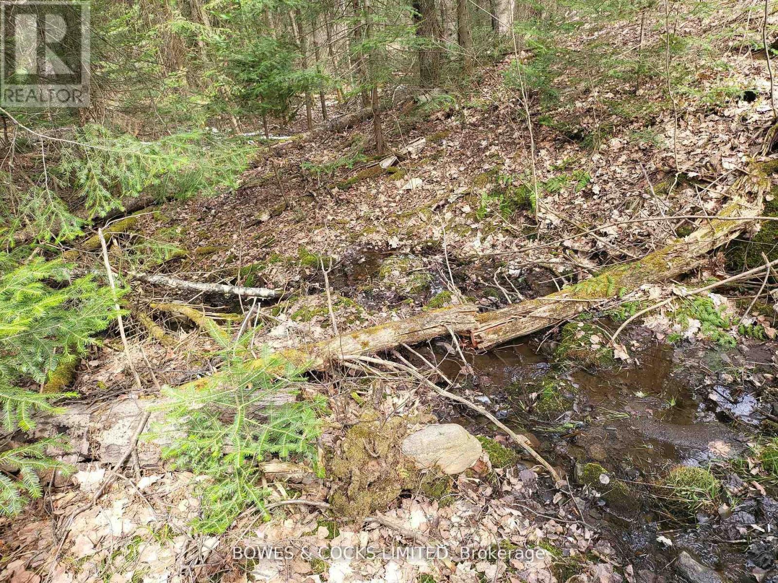 0 Highway 62 N, Hastings Highlands (Monteagle Ward), Ontario  K0L 2S0 - Photo 3 - X12406227