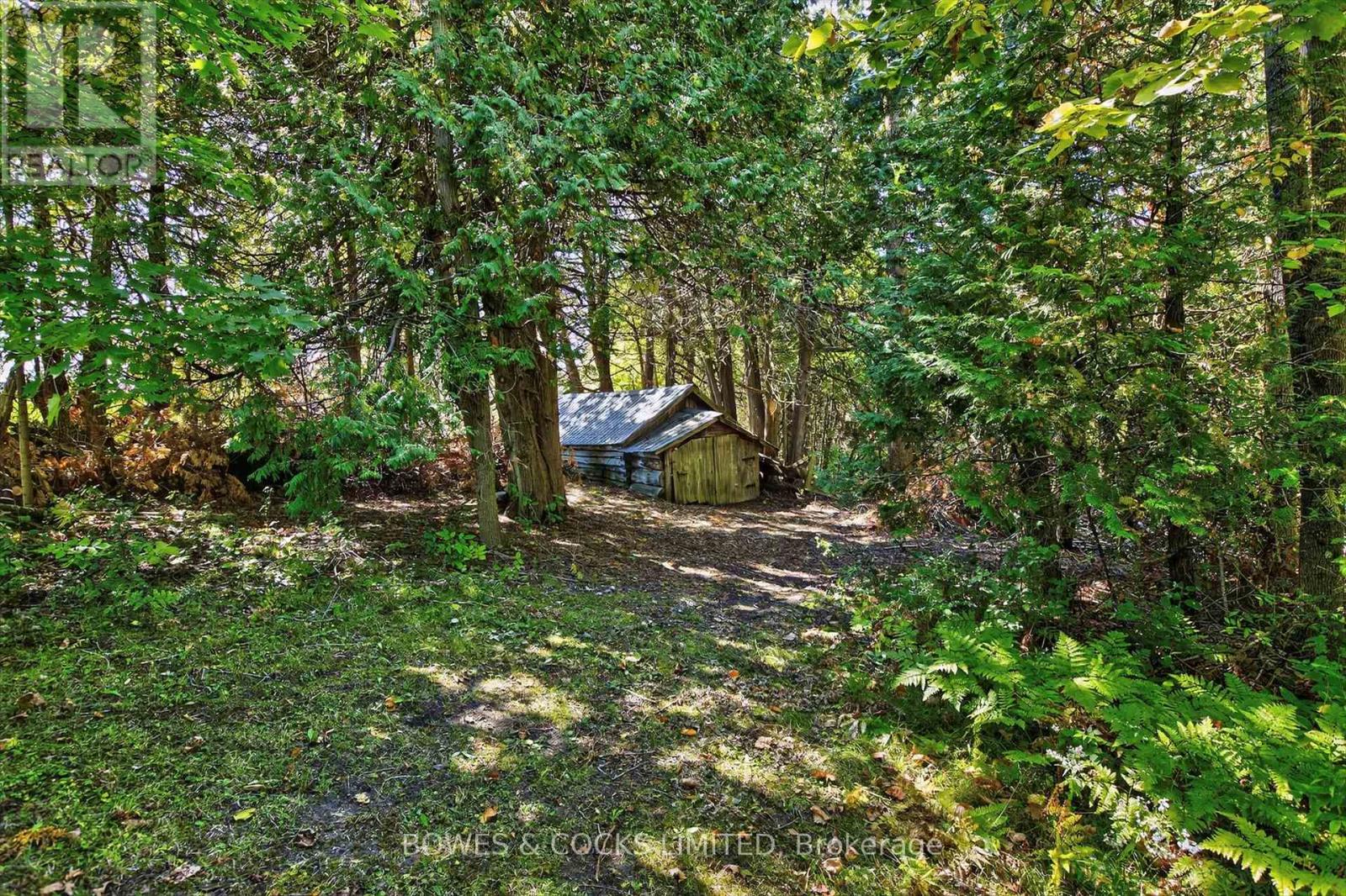 374 County Road 4, Douro-Dummer, Ontario  K9J 6Y2 - Photo 46 - X12407294