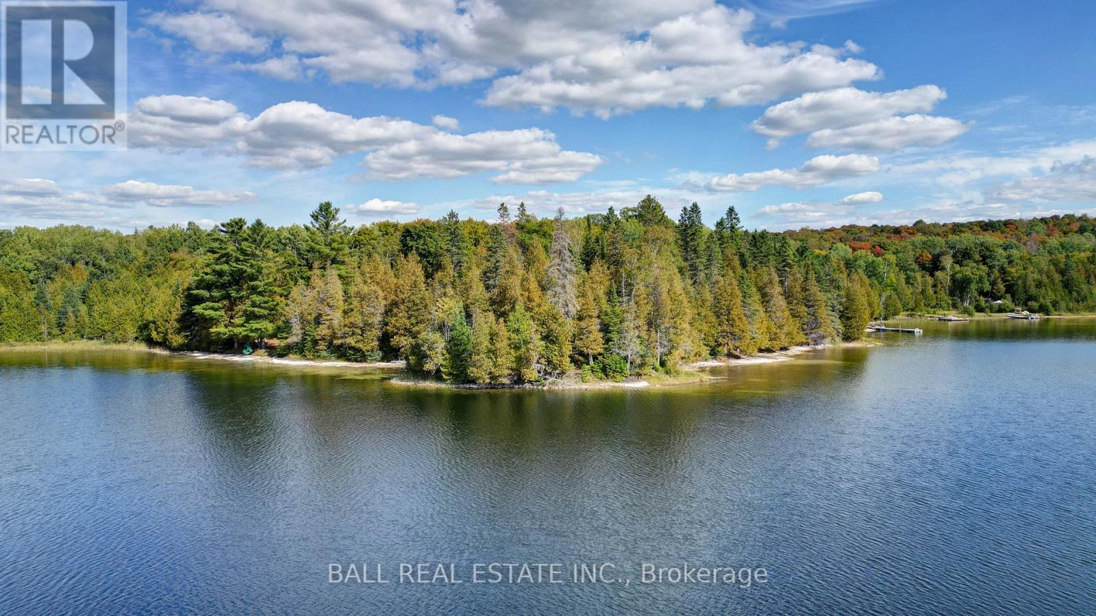 226 Peter Lane, Wollaston, Ontario  K0L 1P0 - Photo 7 - X12407613