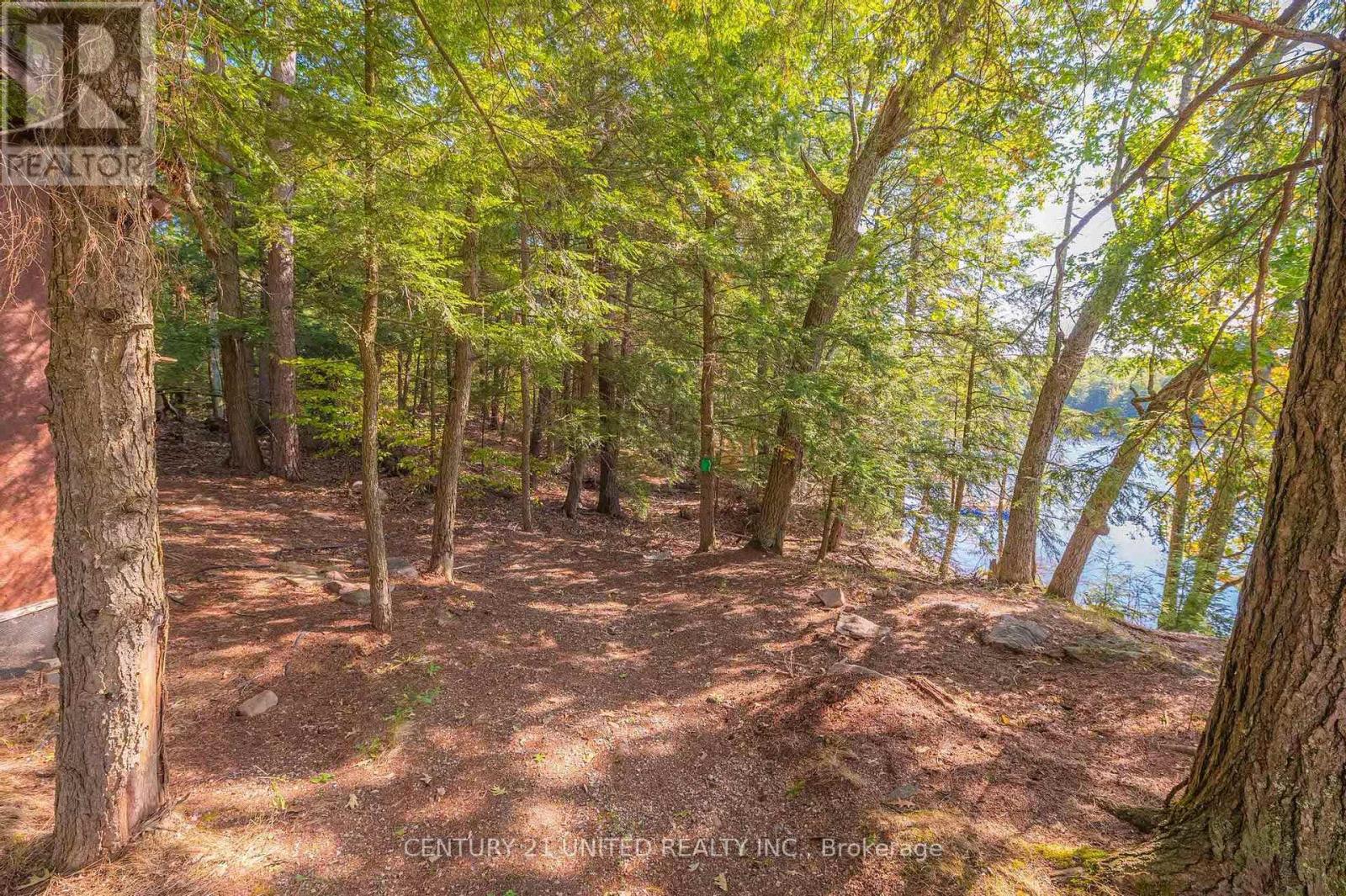 20 Fire Route 147, Trent Lakes, Ontario  K0L 1J0 - Photo 3 - X12408936