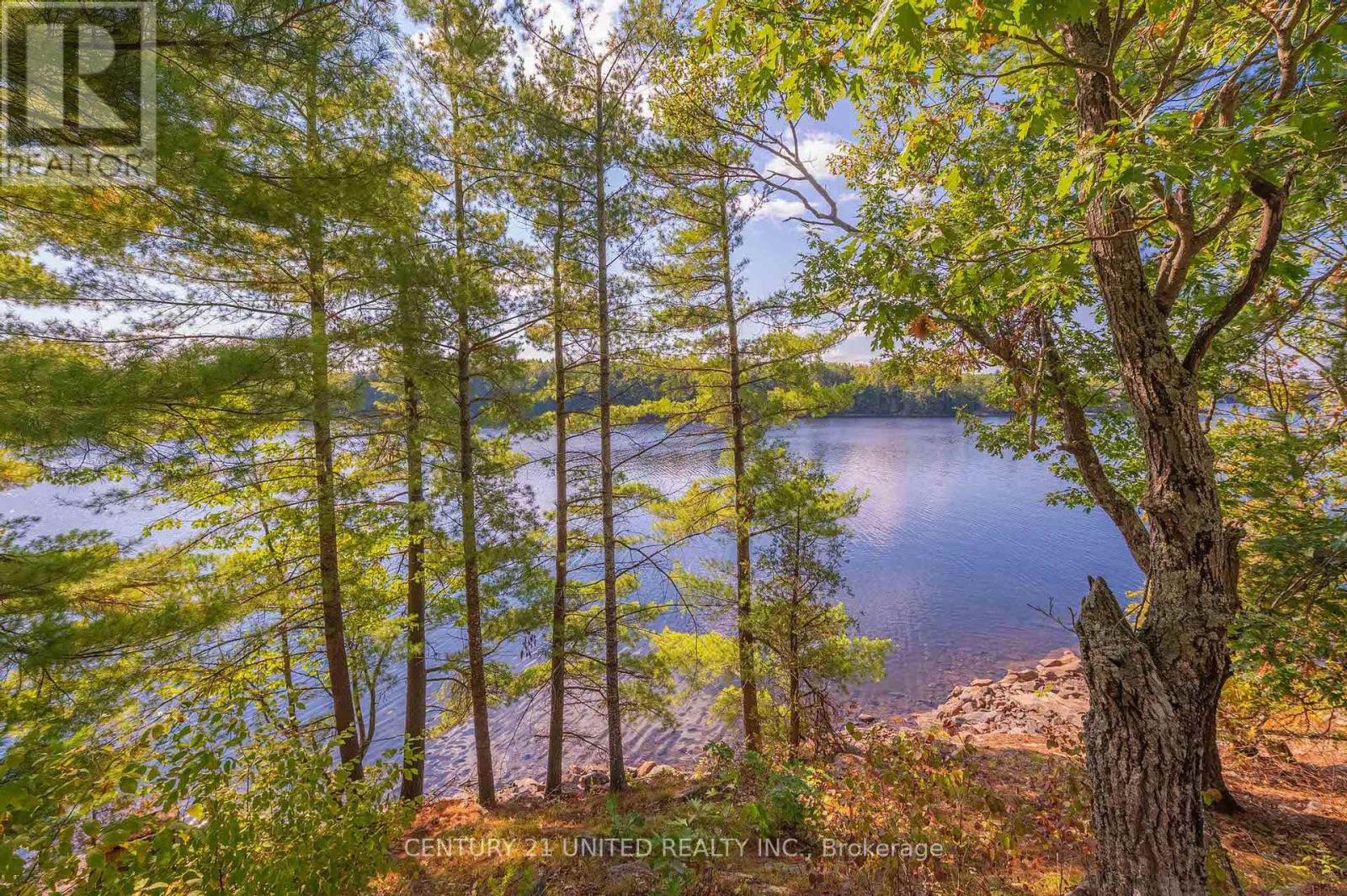 20 Fire Route 147, Trent Lakes, Ontario  K0L 1J0 - Photo 40 - X12408936