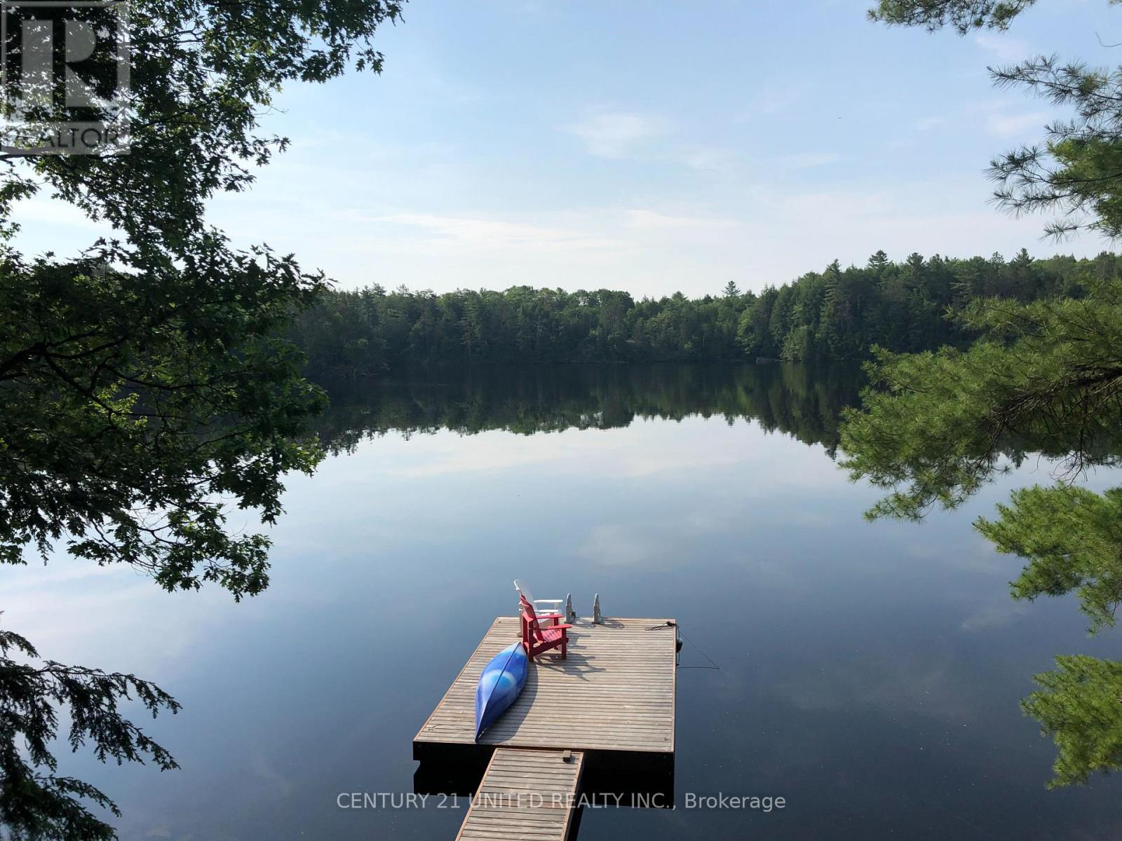 20 Fire Route 147, Trent Lakes, Ontario  K0L 1J0 - Photo 5 - X12408936