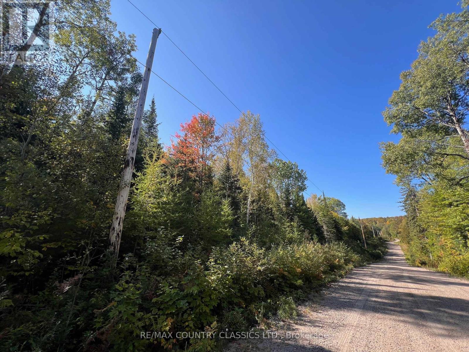 0 Davis Road, Hastings Highlands (Wicklow Ward), Ontario  K0L 2S0 - Photo 4 - X12409311