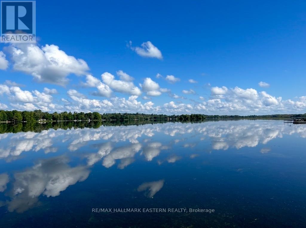 1165 Grier Drive, Douro-Dummer, Ontario  K0L 2H0 - Photo 36 - X12409531