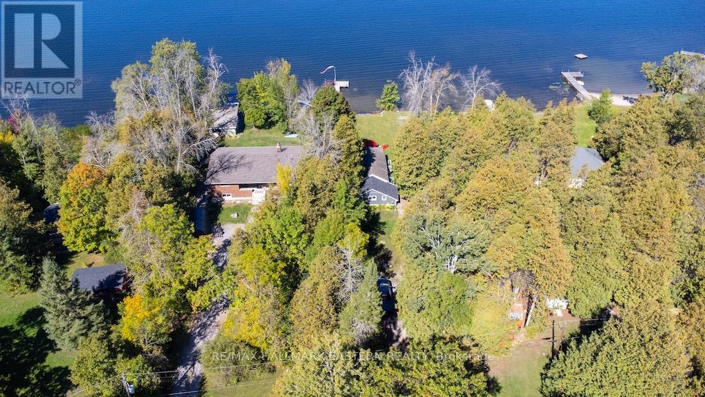 1165 Grier Drive, Douro-Dummer, Ontario  K0L 2H0 - Photo 47 - X12409531
