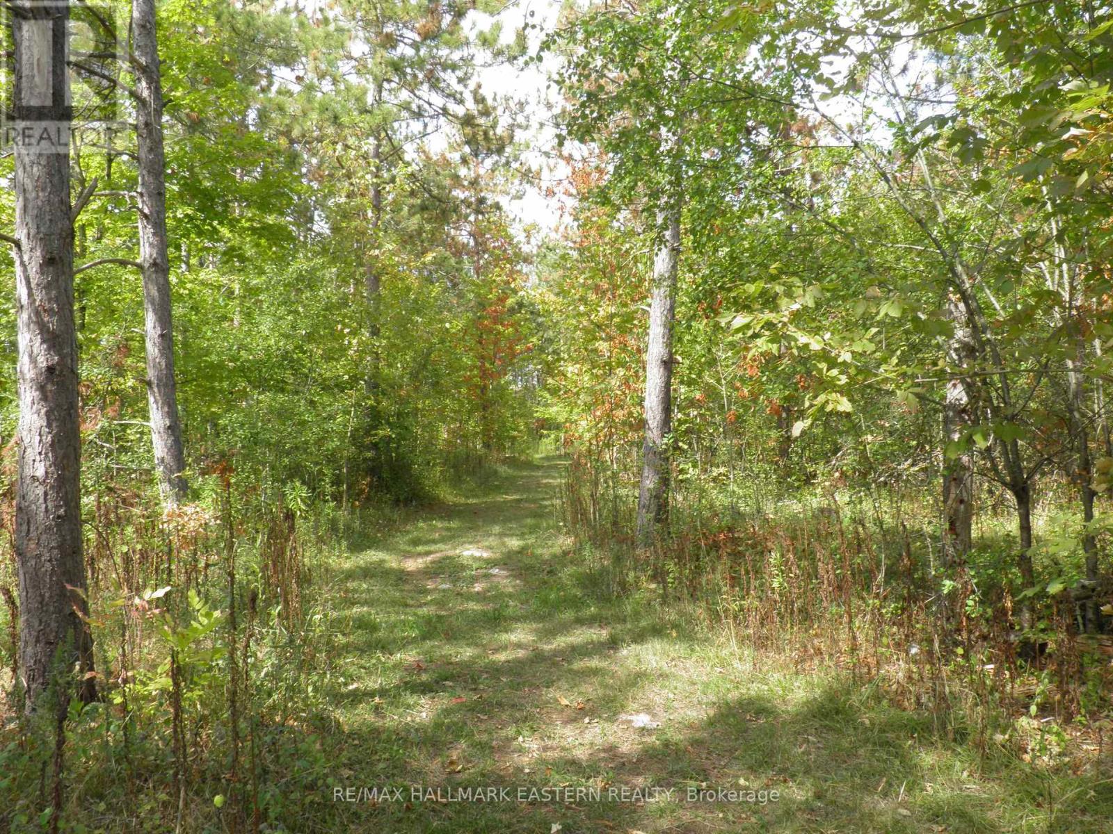 97 Sugarbush Boulevard, Trent Lakes, Ontario  K0L 1J0 - Photo 29 - X12410532