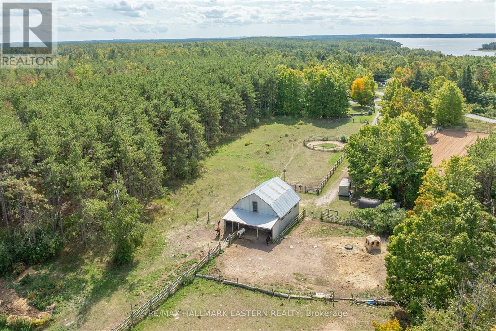 97 Sugarbush Boulevard, Trent Lakes, Ontario  K0L 1J0 - Photo 40 - X12410532