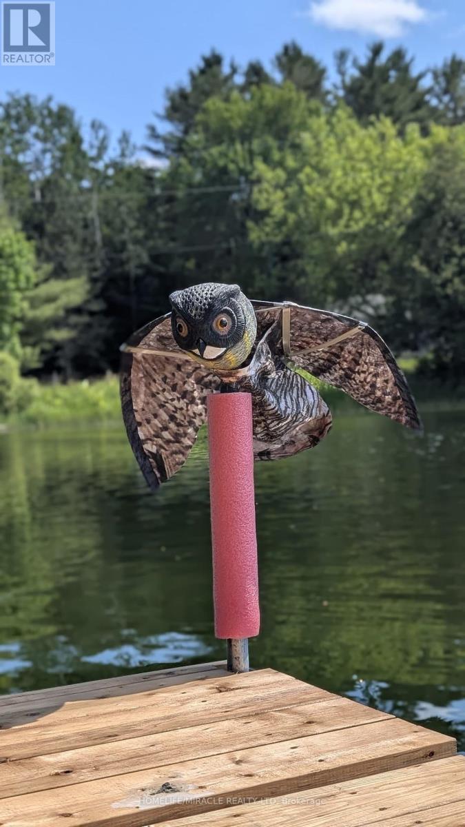 26547 Highway 62 S, Bancroft (Dungannon Ward), Ontario  K0L 2L0 - Photo 12 - X12411546