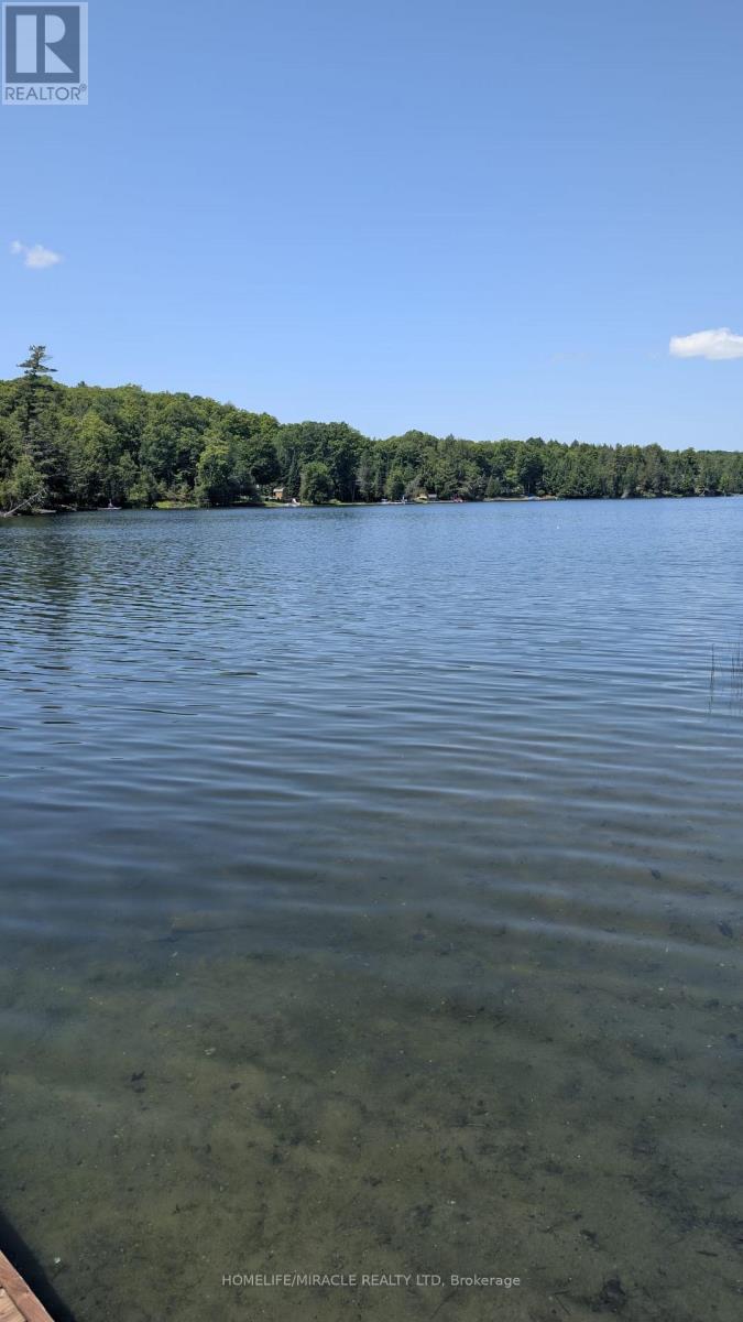 26547 Highway 62 S, Bancroft (Dungannon Ward), Ontario  K0L 2L0 - Photo 17 - X12411546