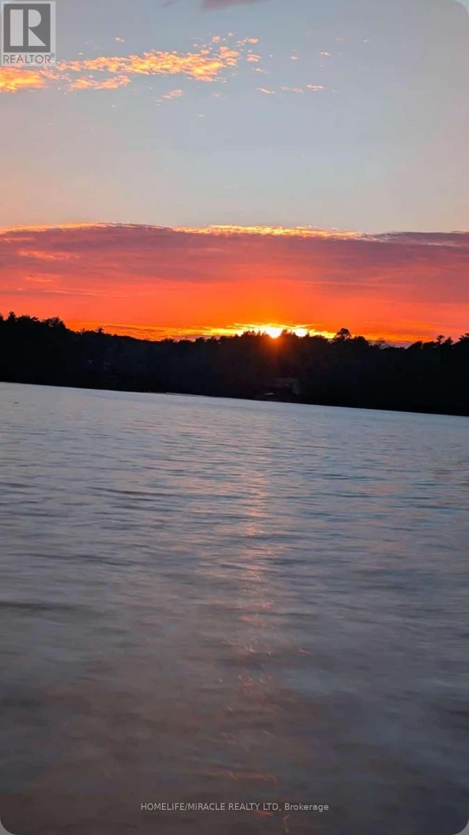 26547 Highway 62 S, Bancroft (Dungannon Ward), Ontario  K0L 2L0 - Photo 44 - X12411546