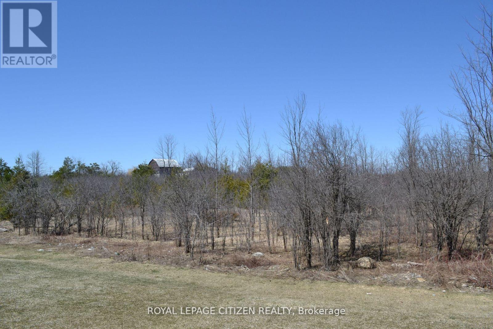 41 Carew Boulevard, Kawartha Lakes (Ops), Ontario  K9V 0P7 - Photo 20 - X12412303