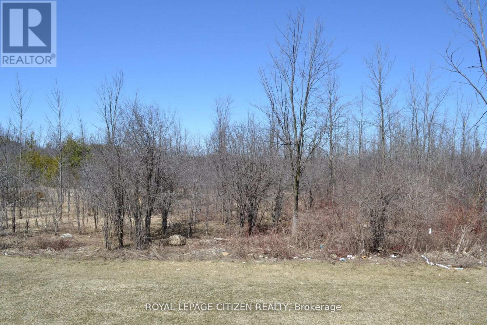 41 Carew Boulevard, Kawartha Lakes (Ops), Ontario  K9V 0P7 - Photo 21 - X12412303