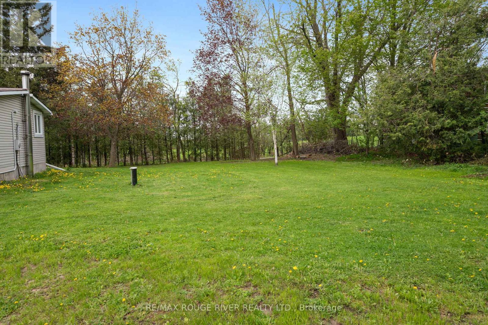 566 Cottingham Road, Kawartha Lakes (Emily), Ontario  K0L 2W0 - Photo 44 - X12412673