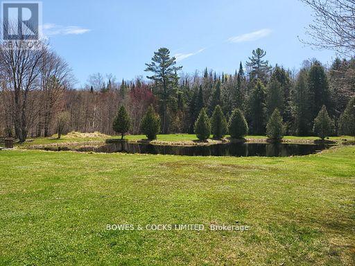 56 Otter Lake Road, Faraday, Ontario  K0L 1C0 - Photo 17 - X12414596