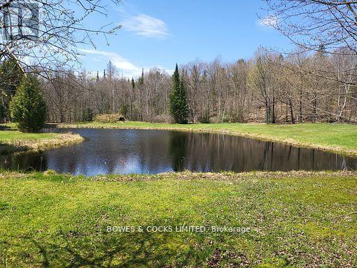 56 Otter Lake Road, Faraday, Ontario  K0L 1C0 - Photo 20 - X12414596