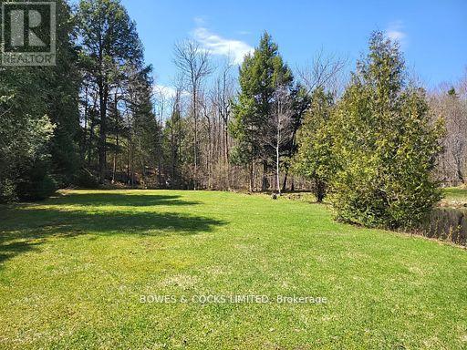 56 Otter Lake Road, Faraday, Ontario  K0L 1C0 - Photo 26 - X12414596