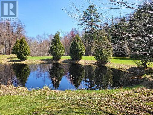 56 Otter Lake Road, Faraday, Ontario  K0L 1C0 - Photo 27 - X12414596