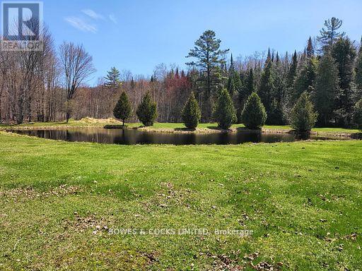 56 Otter Lake Road, Faraday, Ontario  K0L 1C0 - Photo 29 - X12414596