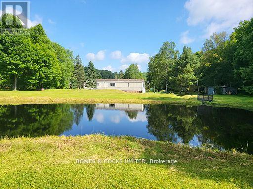 56 Otter Lake Road, Faraday, Ontario  K0L 1C0 - Photo 3 - X12414596