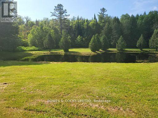 56 Otter Lake Road, Faraday, Ontario  K0L 1C0 - Photo 34 - X12414596