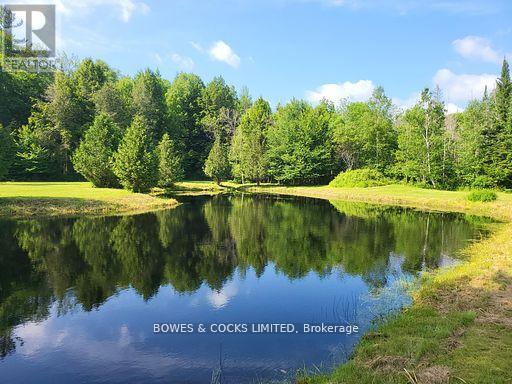 56 Otter Lake Road, Faraday, Ontario  K0L 1C0 - Photo 35 - X12414596