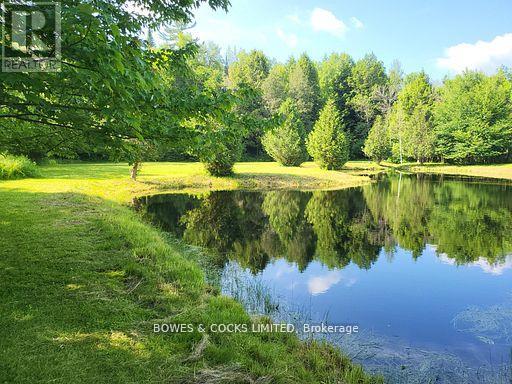 56 Otter Lake Road, Faraday, Ontario  K0L 1C0 - Photo 36 - X12414596