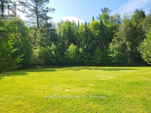 56 Otter Lake Road, Faraday, Ontario  K0L 1C0 - Photo 38 - X12414596