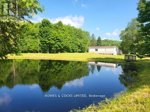 56 Otter Lake Road, Faraday, Ontario  K0L 1C0 - Photo 4 - X12414596