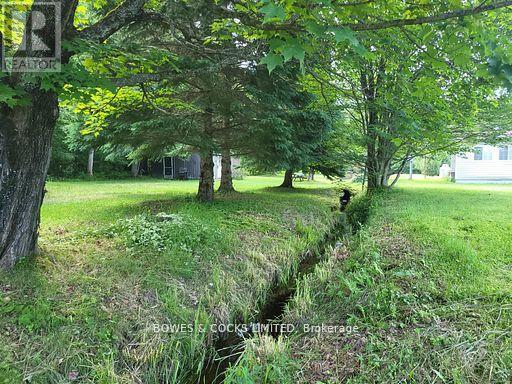 56 Otter Lake Road, Faraday, Ontario  K0L 1C0 - Photo 43 - X12414596