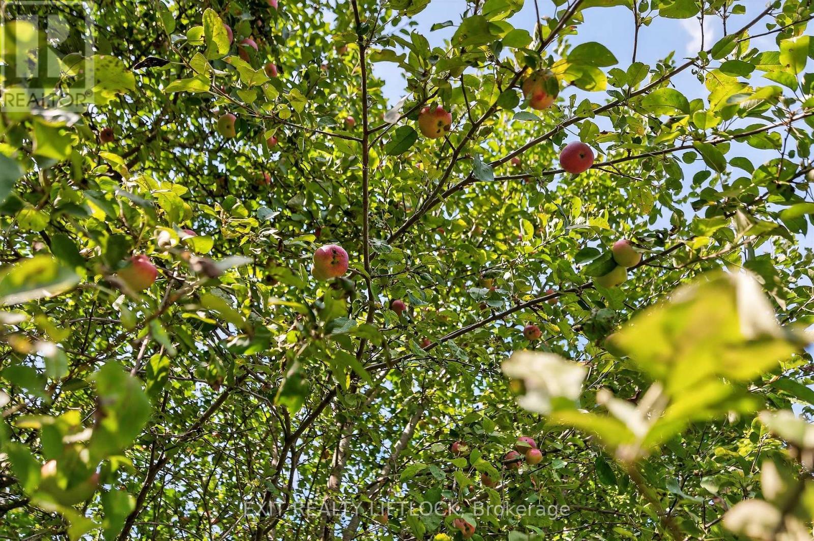 792 County Rd 28, Cavan Monaghan (Cavan Twp), Ontario  K0L 1B0 - Photo 40 - X12414990