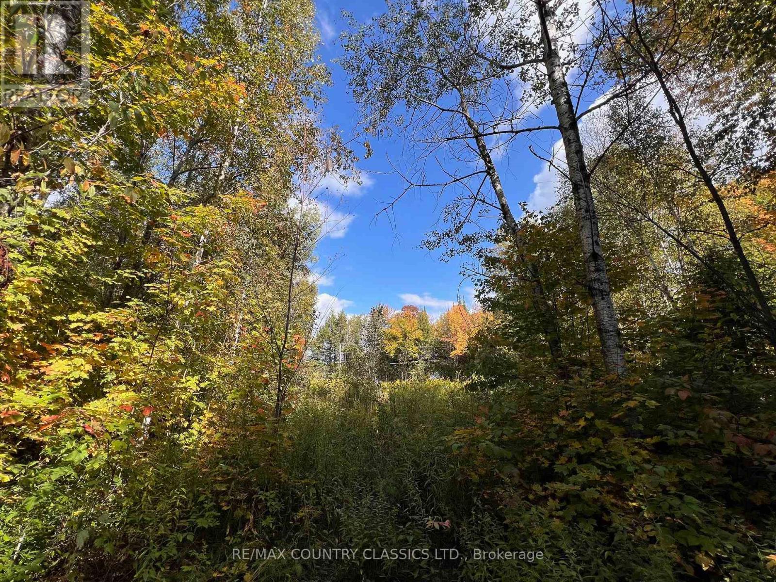 0 Forest View Road, Hastings Highlands (Herschel Ward), Ontario  K0L 1C0 - Photo 10 - X12415014