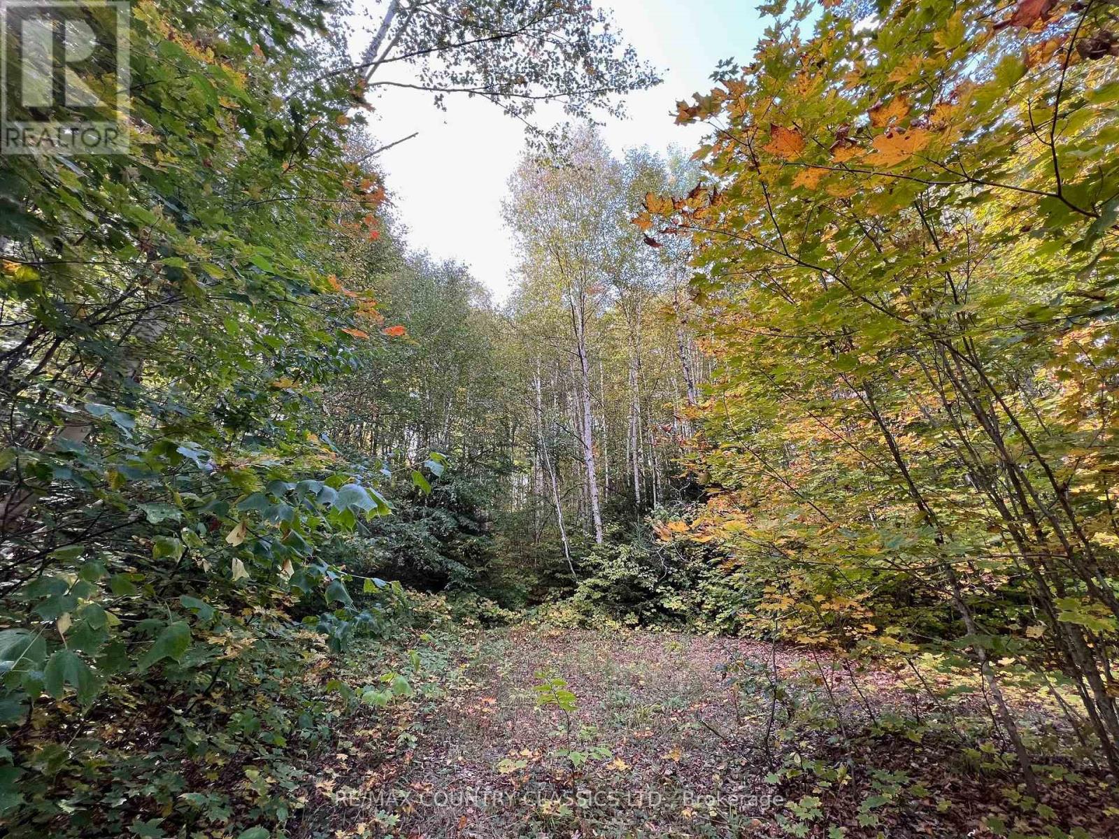 0 Forest View Road, Hastings Highlands (Herschel Ward), Ontario  K0L 1C0 - Photo 11 - X12415014