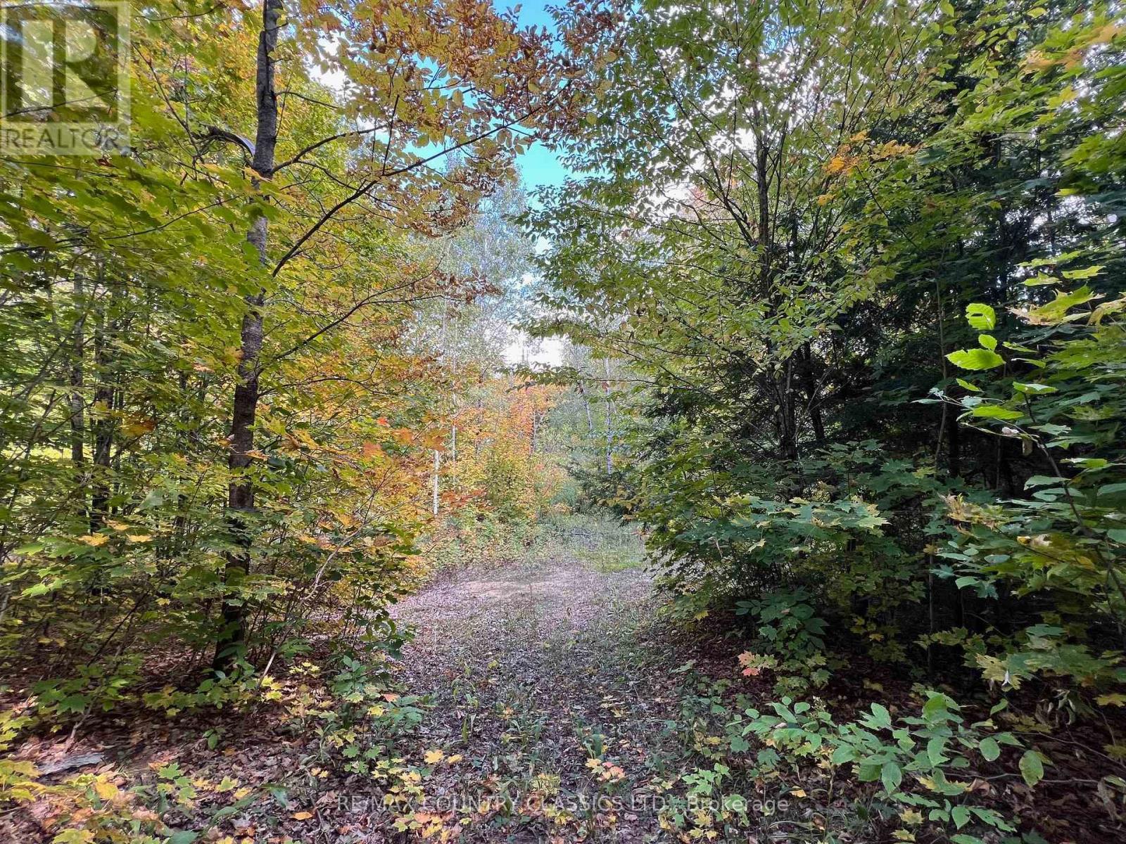 0 Forest View Road, Hastings Highlands (Herschel Ward), Ontario  K0L 1C0 - Photo 12 - X12415014