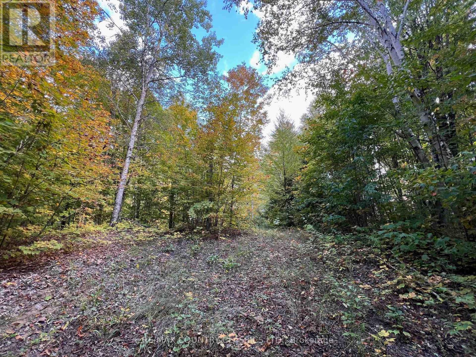 0 Forest View Road, Hastings Highlands (Herschel Ward), Ontario  K0L 1C0 - Photo 13 - X12415014
