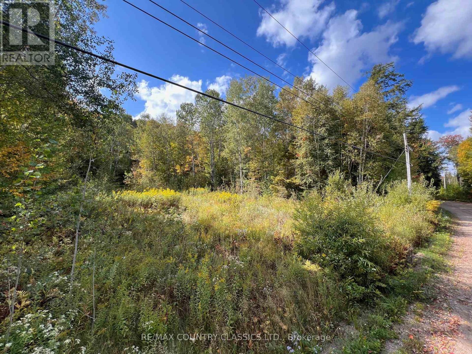 0 Forest View Road, Hastings Highlands (Herschel Ward), Ontario  K0L 1C0 - Photo 15 - X12415014
