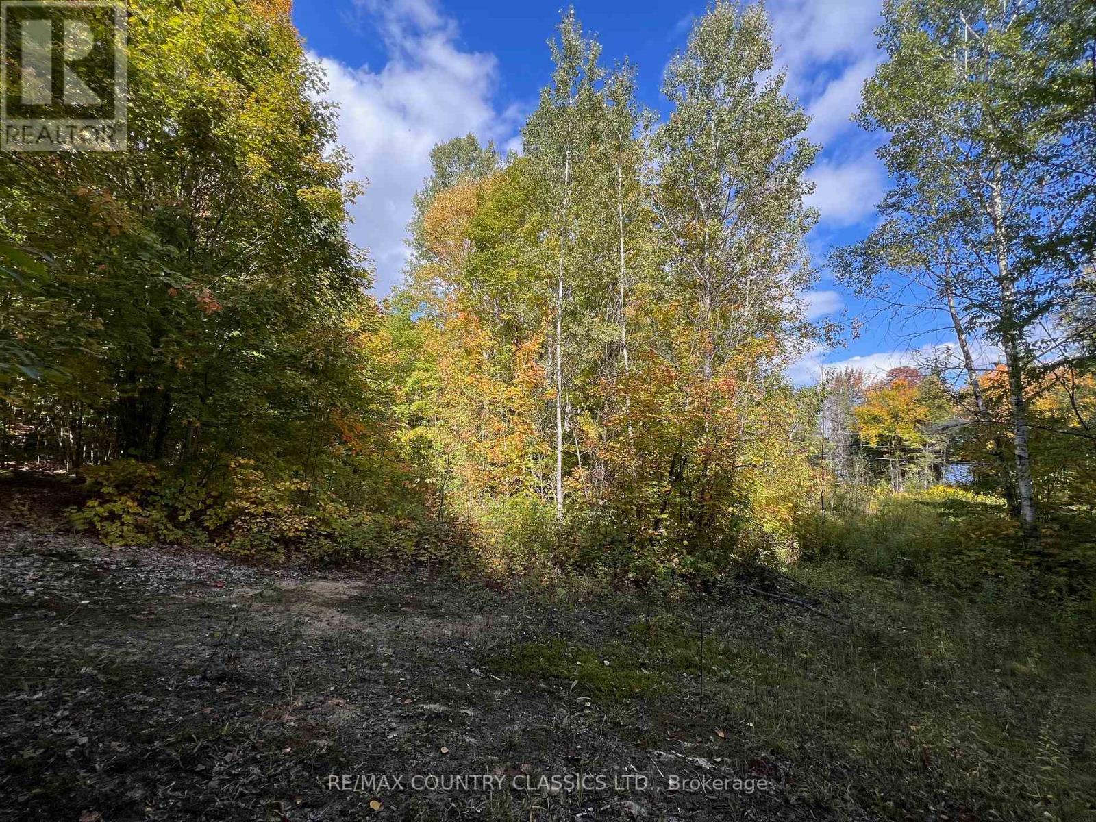0 Forest View Road, Hastings Highlands (Herschel Ward), Ontario  K0L 1C0 - Photo 16 - X12415014